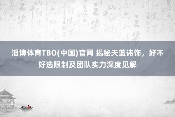 滔博体育TBO(中国)官网 揭秘天蓝讳饰，好不好选限制及团队实力深度见解