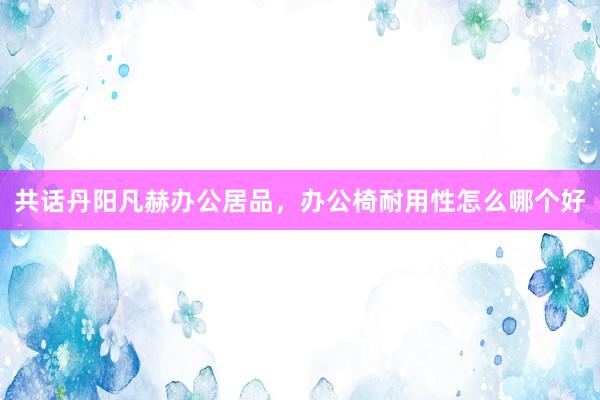 共话丹阳凡赫办公居品，办公椅耐用性怎么哪个好
