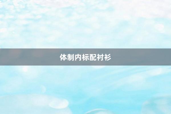 体制内标配衬衫