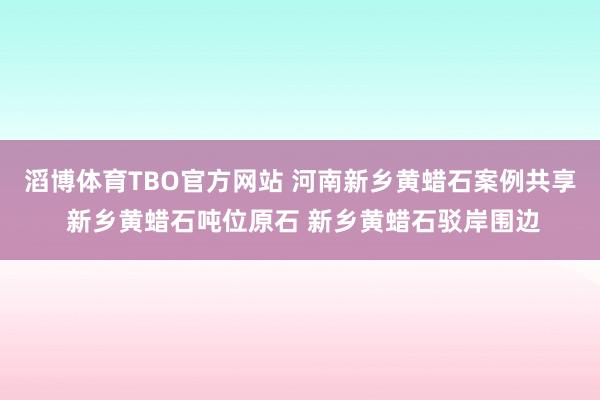 滔博体育TBO官方网站 河南新乡黄蜡石案例共享 新乡黄蜡石吨位原石 新乡黄蜡石驳岸围边