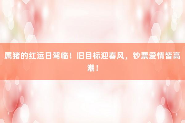 属猪的红运日驾临！旧目标迎春风，钞票爱情皆高潮！