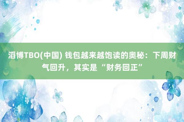 滔博TBO(中国) 钱包越来越饱读的奥秘：下周财气回升，其实是 “财务回正”