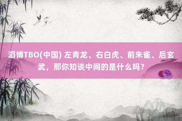 滔博TBO(中国) 左青龙、右白虎、前朱雀、后玄武，那你知谈中间的是什么吗？