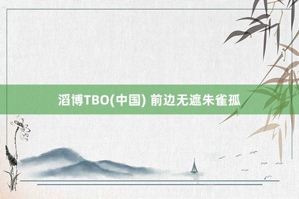 滔博TBO(中国) 前边无遮朱雀孤