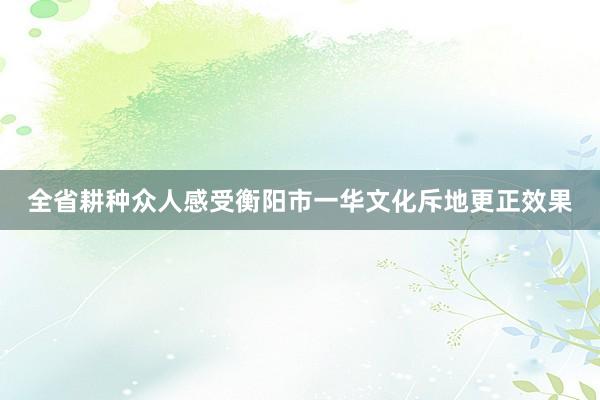 全省耕种众人感受衡阳市一华文化斥地更正效果