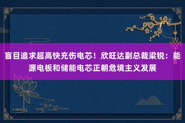 盲目追求超高快充伤电芯！欣旺达副总裁梁锐：能源电板和储能电芯正朝危境主义发展