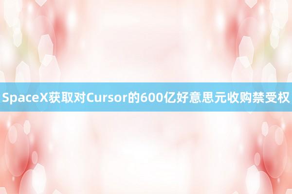 SpaceX获取对Cursor的600亿好意思元收购禁受权
