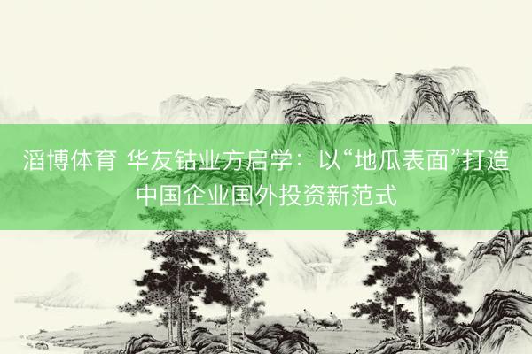 滔博体育 华友钴业方启学：以“地瓜表面”打造中国企业国外投资新范式
