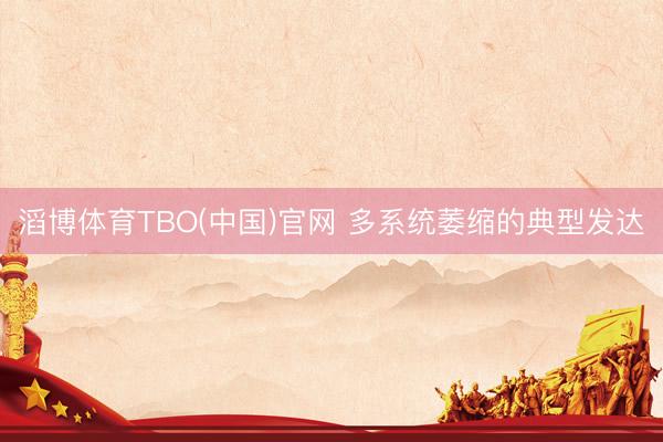 滔博体育TBO(中国)官网 多系统萎缩的典型发达